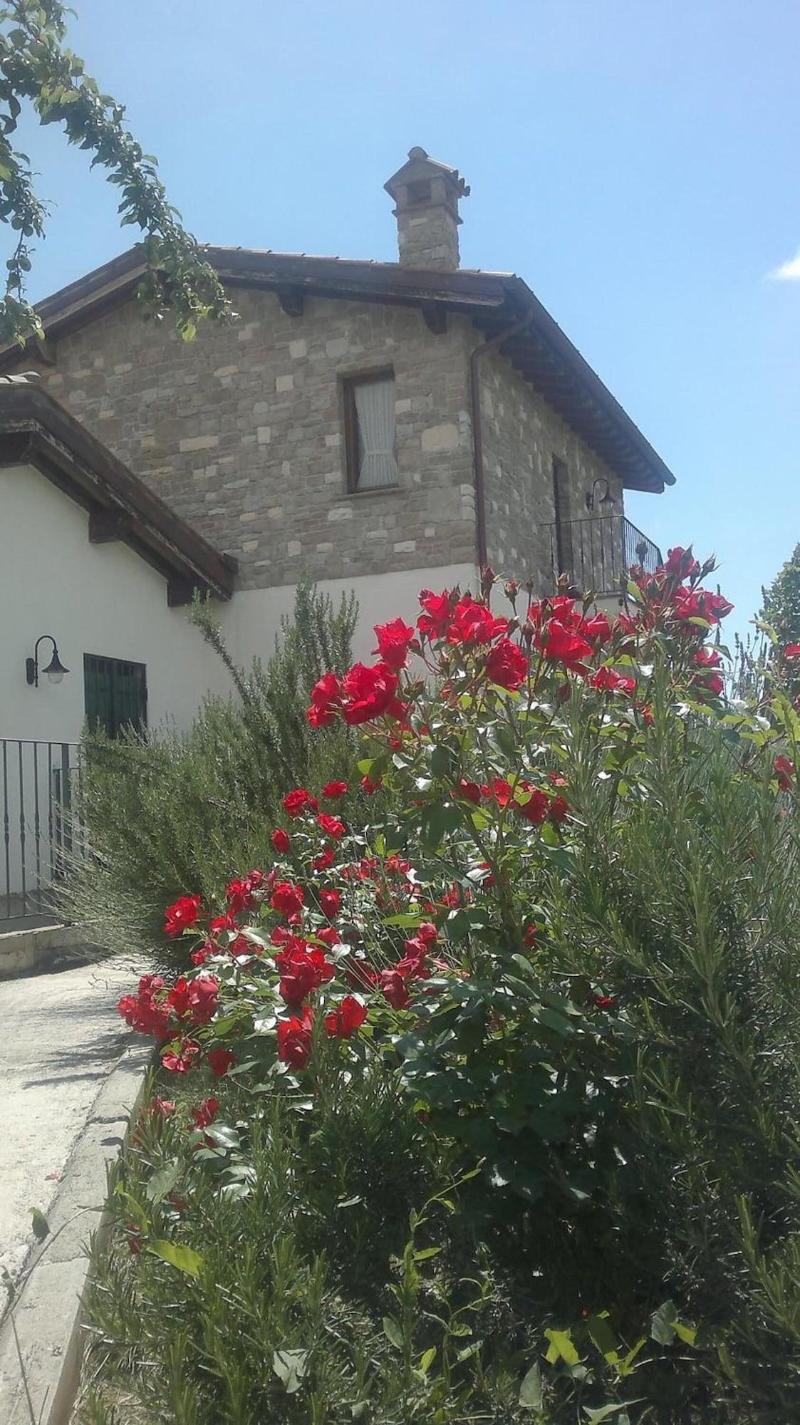 B&B Villa Barbarossa - Genel