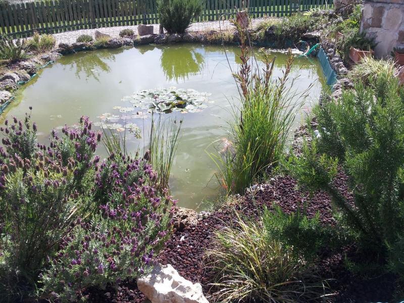 B&B Villa Barbarossa - Genel
