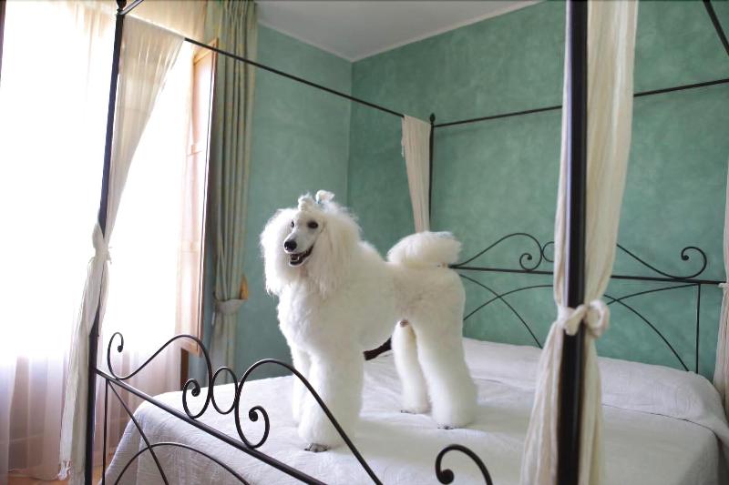 B&B Villa Barbarossa - Oda