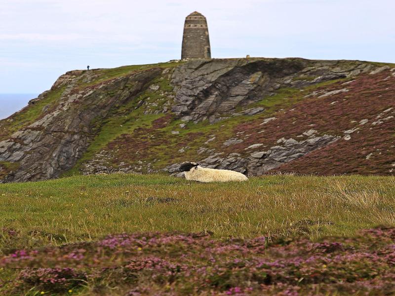 The Island Bear Bed And Breakfast - Aktivite