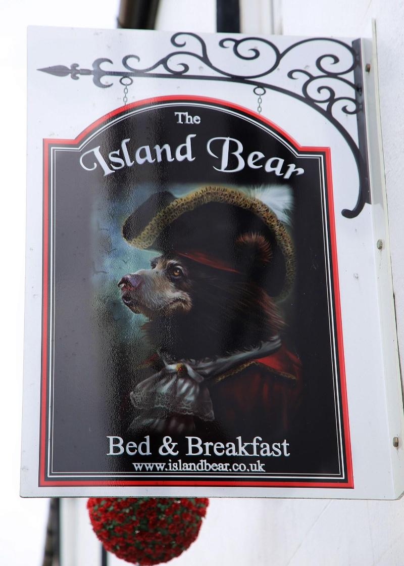 The Island Bear Bed And Breakfast - Genel