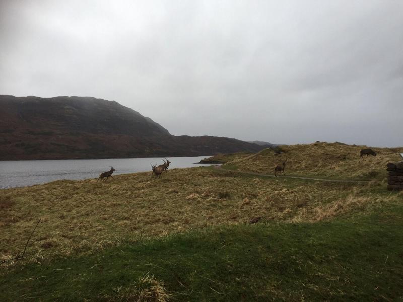 The Drumbeg Hotel - Aktivite