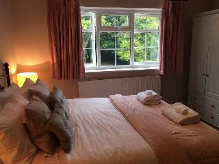 Leafy Suburban Bed & Breakfast fotoÄŸrafÄ±