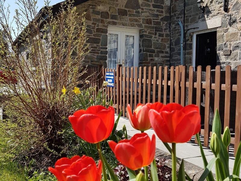 Bronwye Guest House - Genel