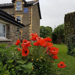 Bronwye Guest House fotoÄŸrafÄ±