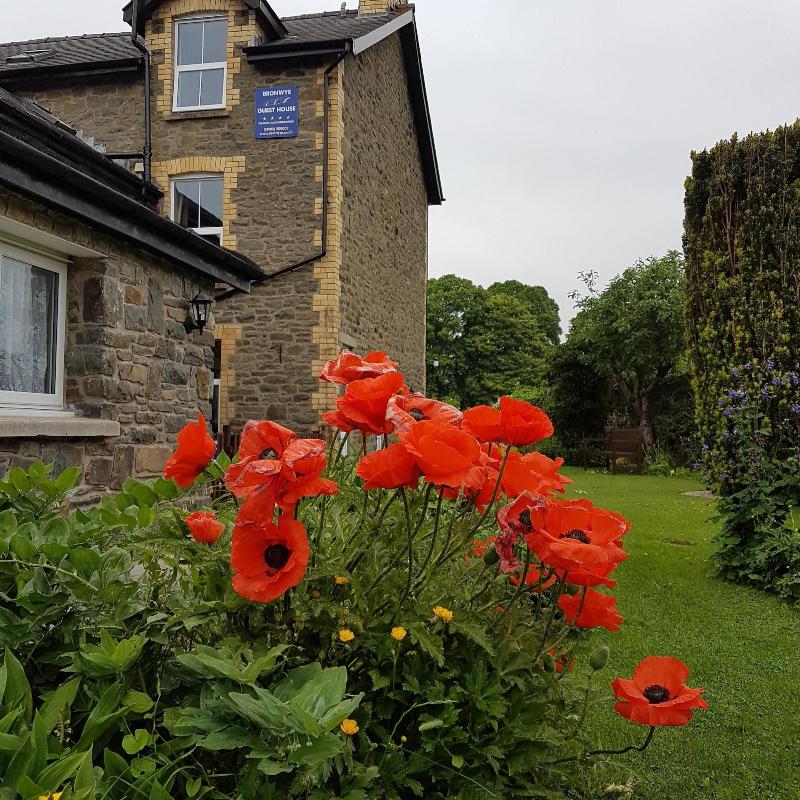 Bronwye Guest House - Genel