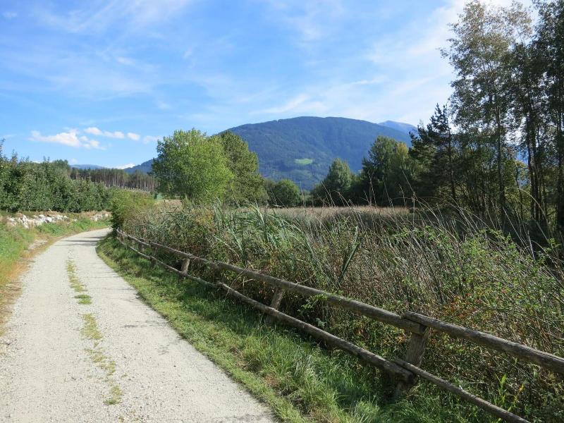 Hotel Waldheim - Genel