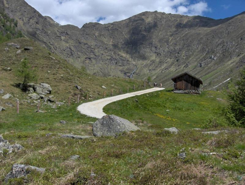 Hotel Waldheim - Genel