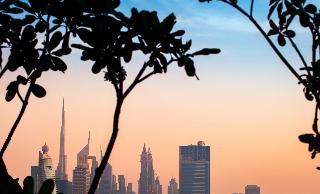 DoubleTree by Hilton Dubai M Square fotoÄŸrafÄ±