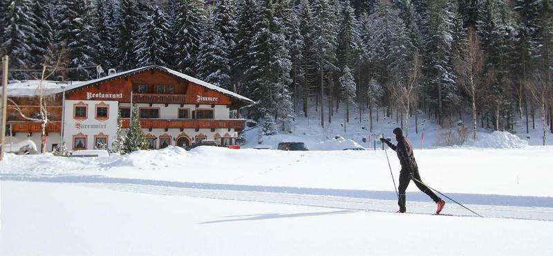 Pension Bärenwirt - Genel