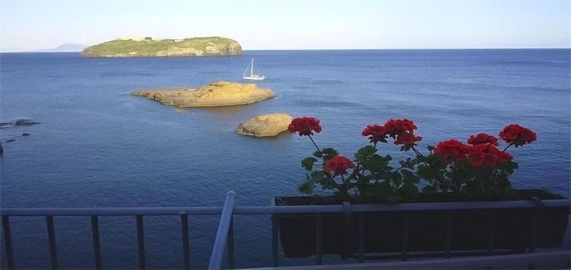 Hotel Villa Iulia - Genel