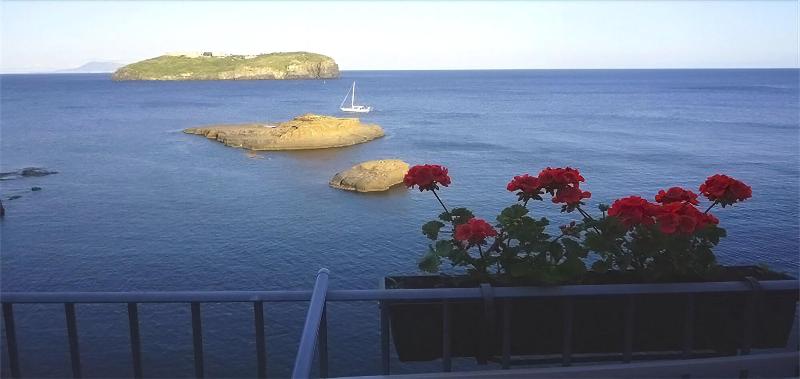 Hotel Villa Iulia - Genel
