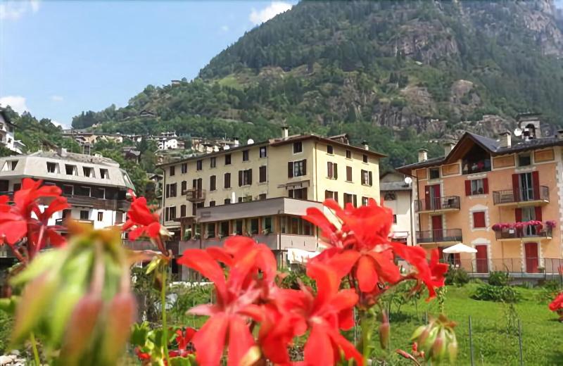 Hotel Pedretti - Genel