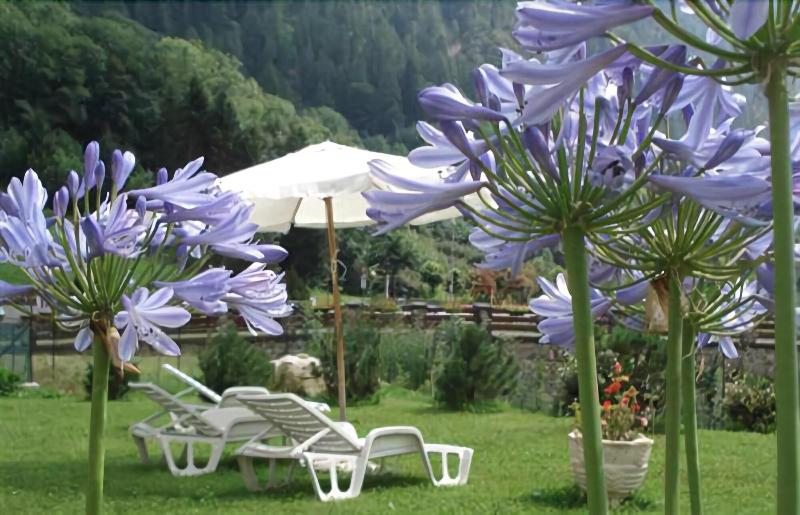 Hotel Pedretti - Genel