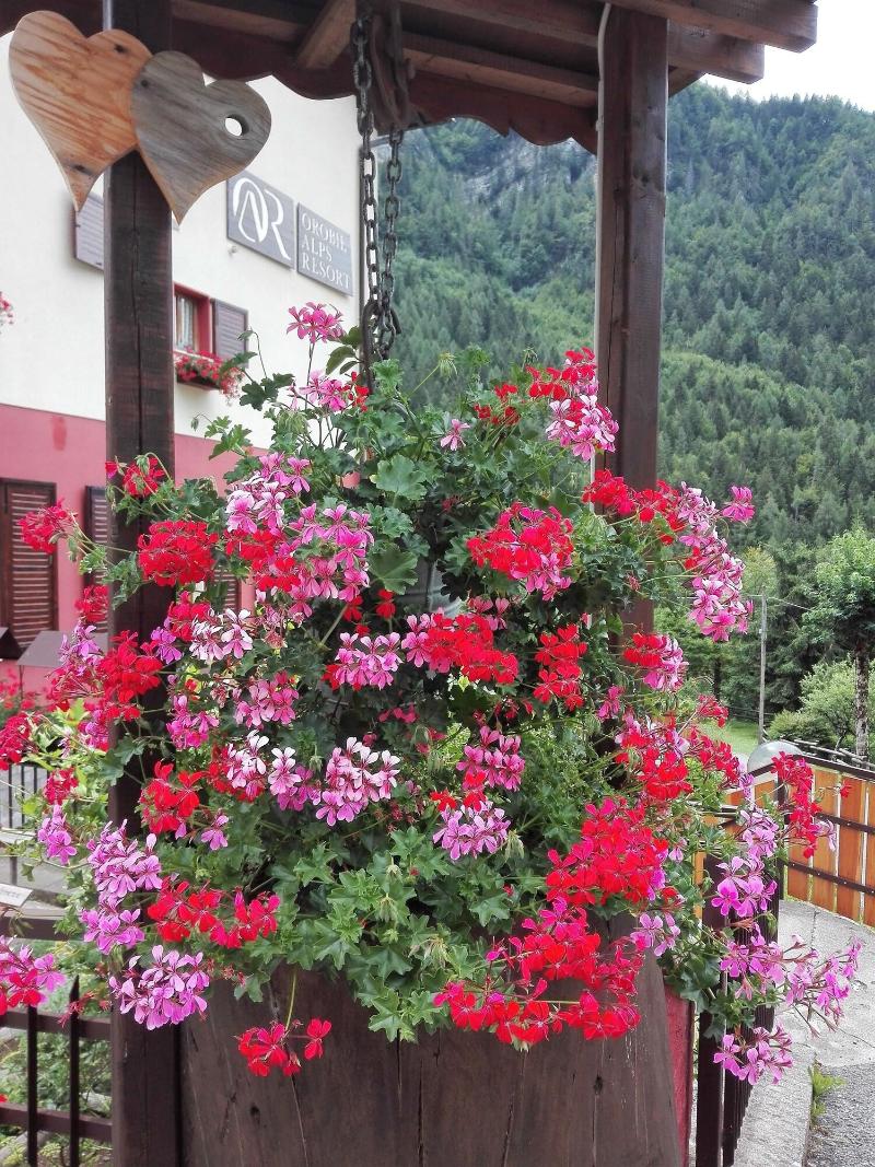 Orobie Alps Resort - Genel