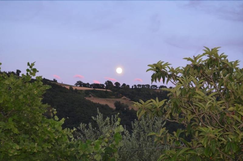 Tuttaterra B&B - Genel