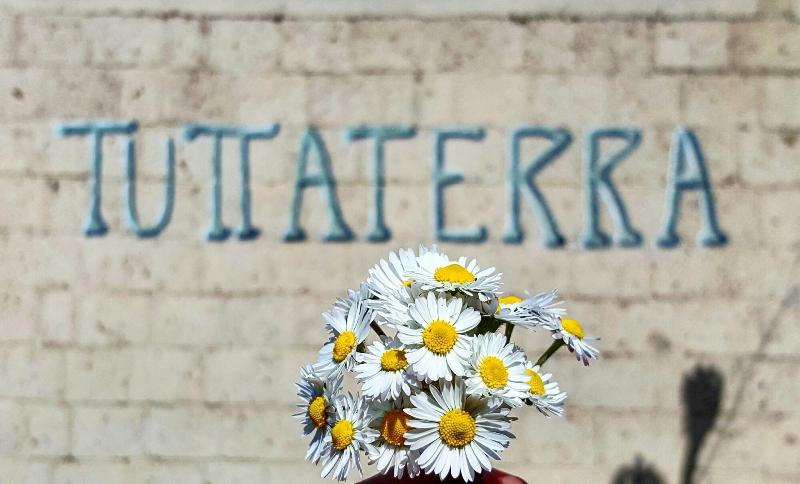 Tuttaterra B&B - Genel