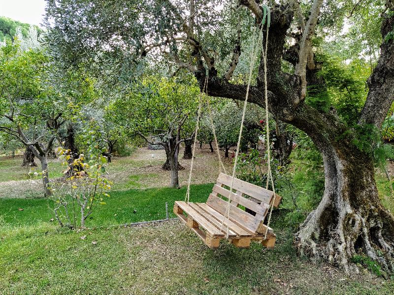 Casa dos Arrábidos - Genel