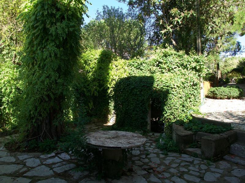 Casa dos Arrábidos - Genel