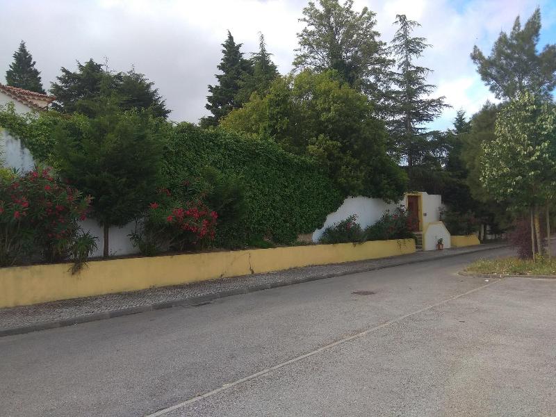 Casa dos Arrábidos - Genel