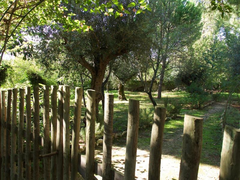 Casa dos Arrábidos - Genel