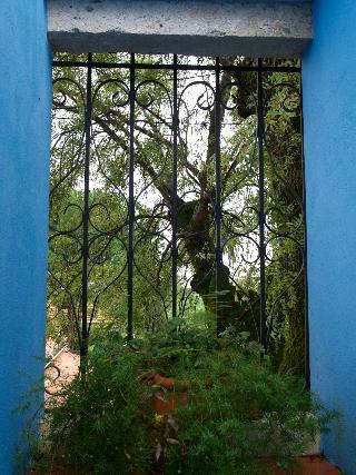 Casa dos Arrábidos fotoÄŸrafÄ±