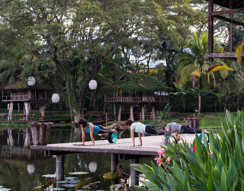 Four Seasons Resort Chiang Mai - Aktivite