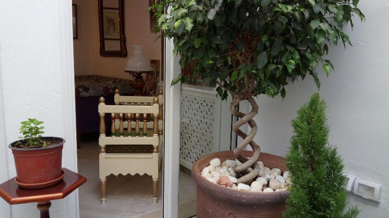 El Patio Courtyard House - Lobi