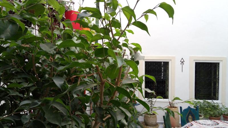 El Patio Courtyard House - Lobi