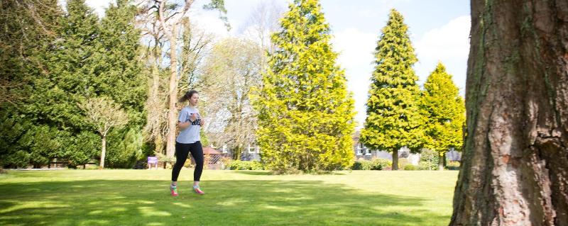 Rosspark Hotel - Genel