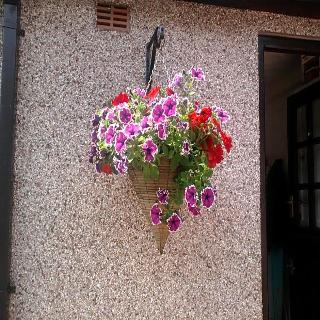 Lon Y Traeth Bed & Breakfast fotoÄŸrafÄ±