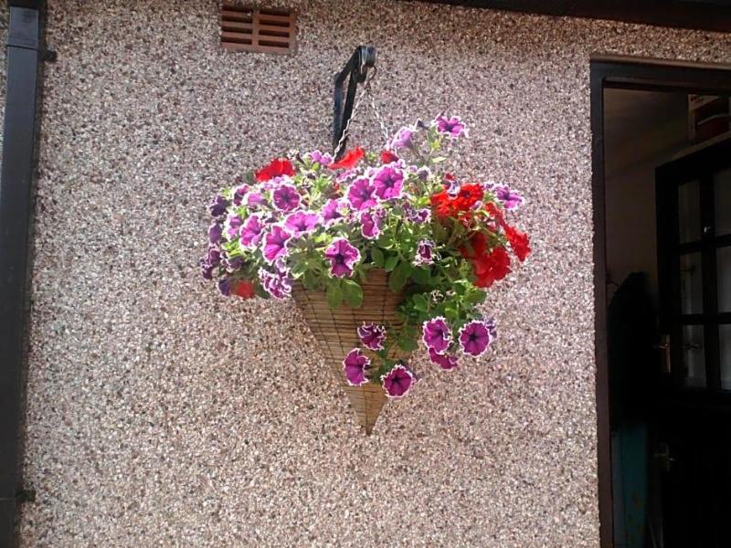 Lon Y Traeth Bed & Breakfast - Genel