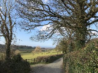 Lon Y Traeth Bed & Breakfast fotoÄŸrafÄ±