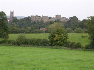 The Cliffe At Dinham fotoÄŸrafÄ±