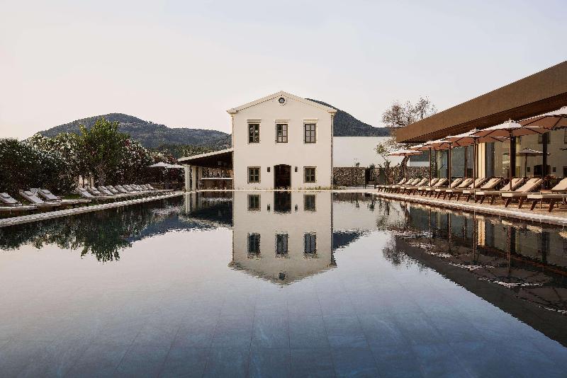 The Olivar Suites - Genel