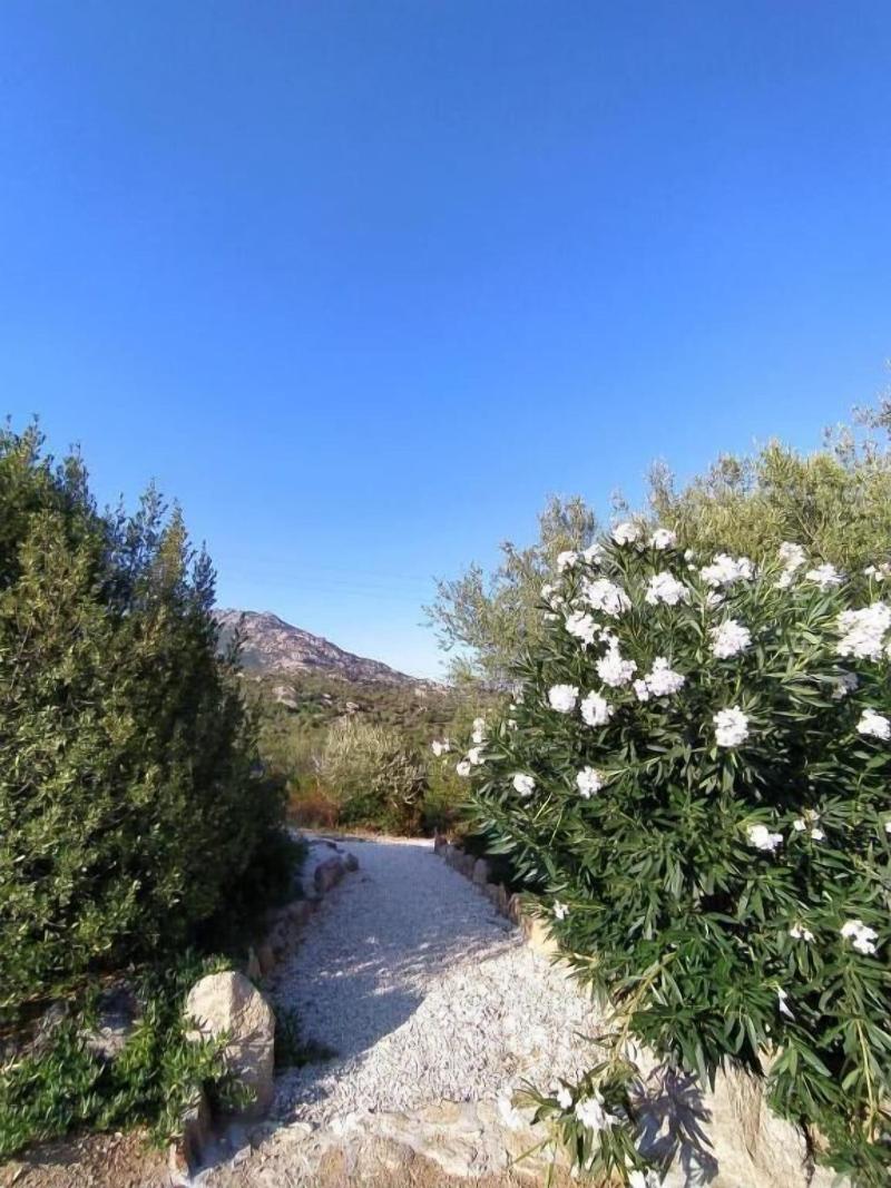 Casagliana Suite Resort - Genel