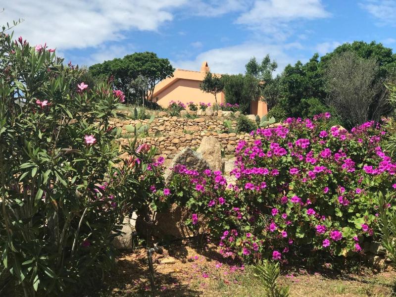 Casagliana Suite Resort - Genel
