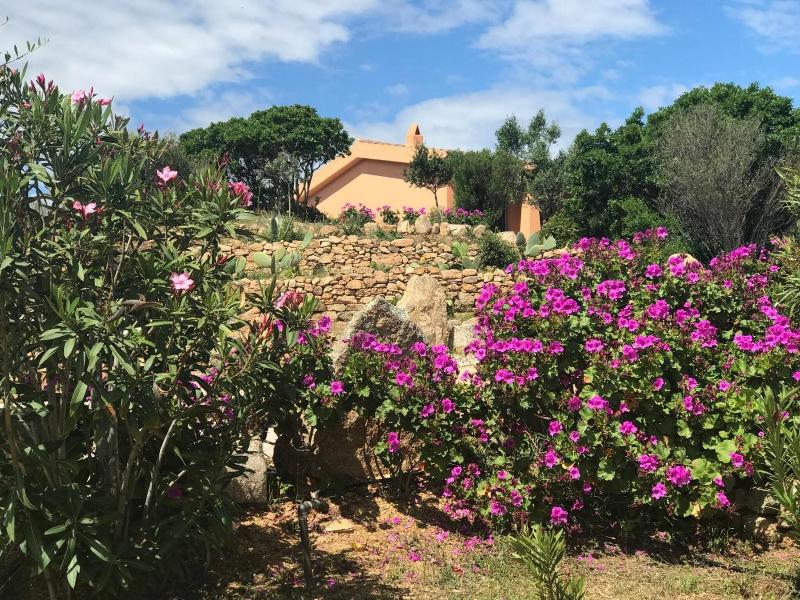 Casagliana Suite Resort - Genel
