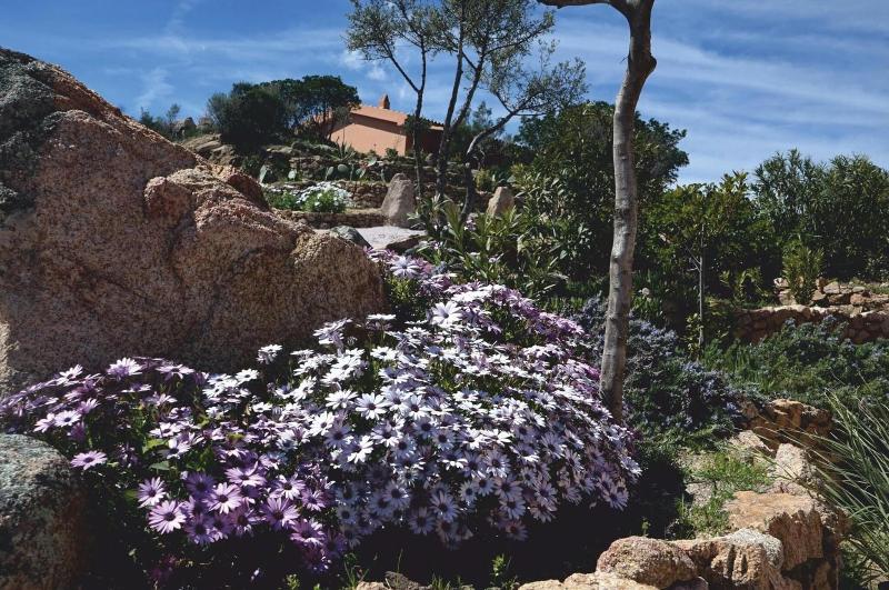Casagliana Suite Resort - Genel