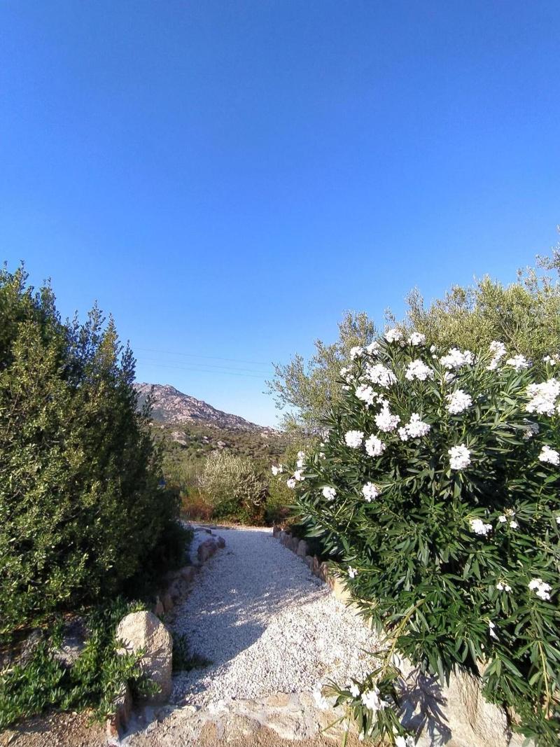 Casagliana Suite Resort - Genel