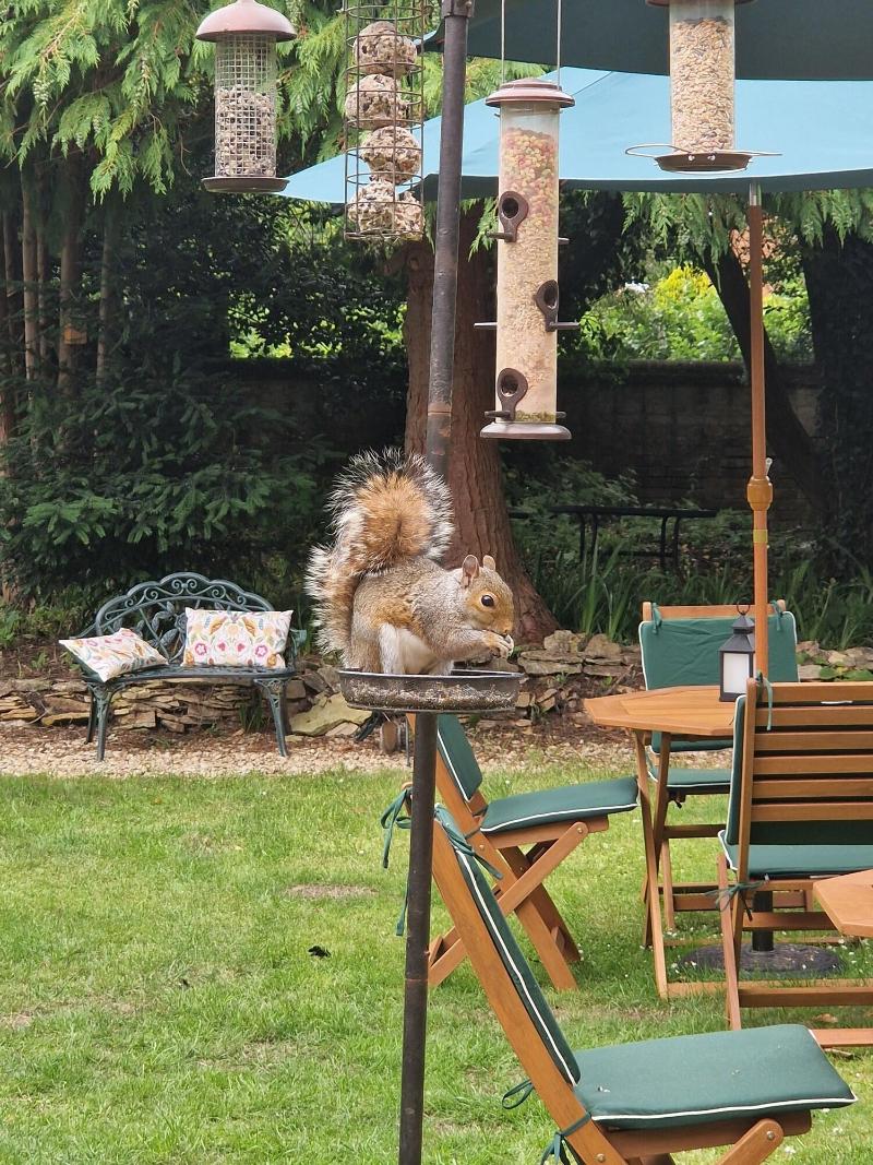 St Margarets Hotel - Teras
