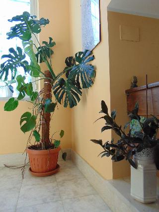 B&B La Mia Casa per Tutti fotoÄŸrafÄ±