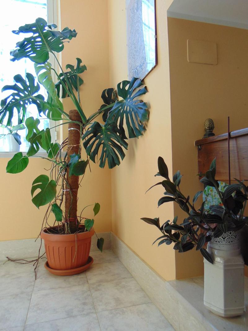 B&B La Mia Casa per Tutti - Lobi