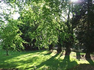 Ardgort Country House fotoÄŸrafÄ±