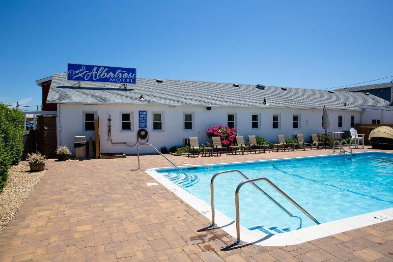 Daunt's Albatross Motel - Aktivite