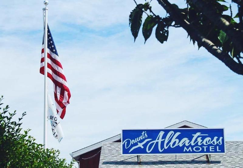 Daunt's Albatross Motel - Genel