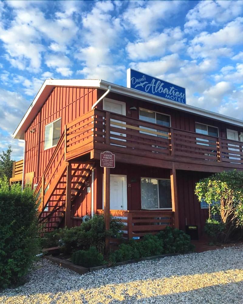 Daunt's Albatross Motel - Genel