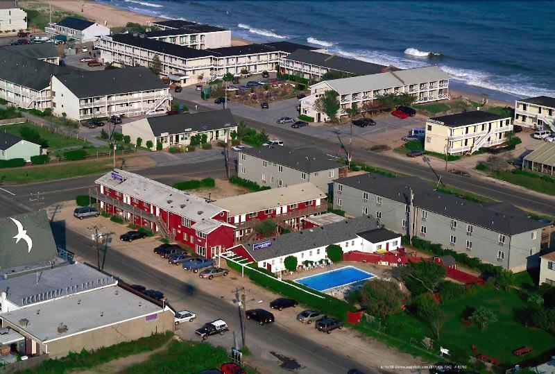 Daunt's Albatross Motel - Genel