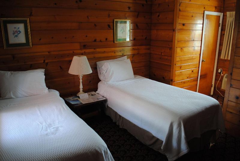 Daunt's Albatross Motel - Oda