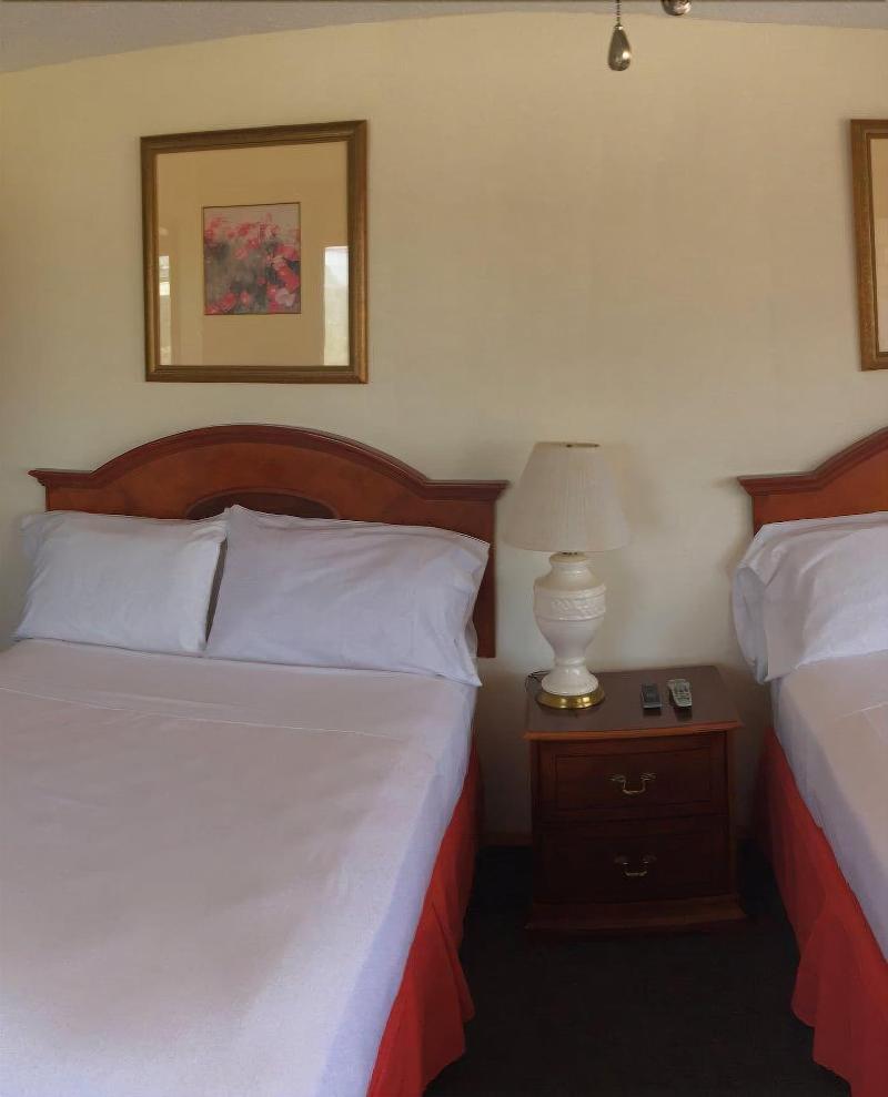 Daunt's Albatross Motel - Oda